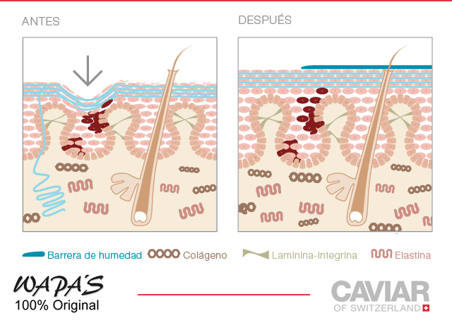 resultados en la piel despues de utilizar caviar of switzerland