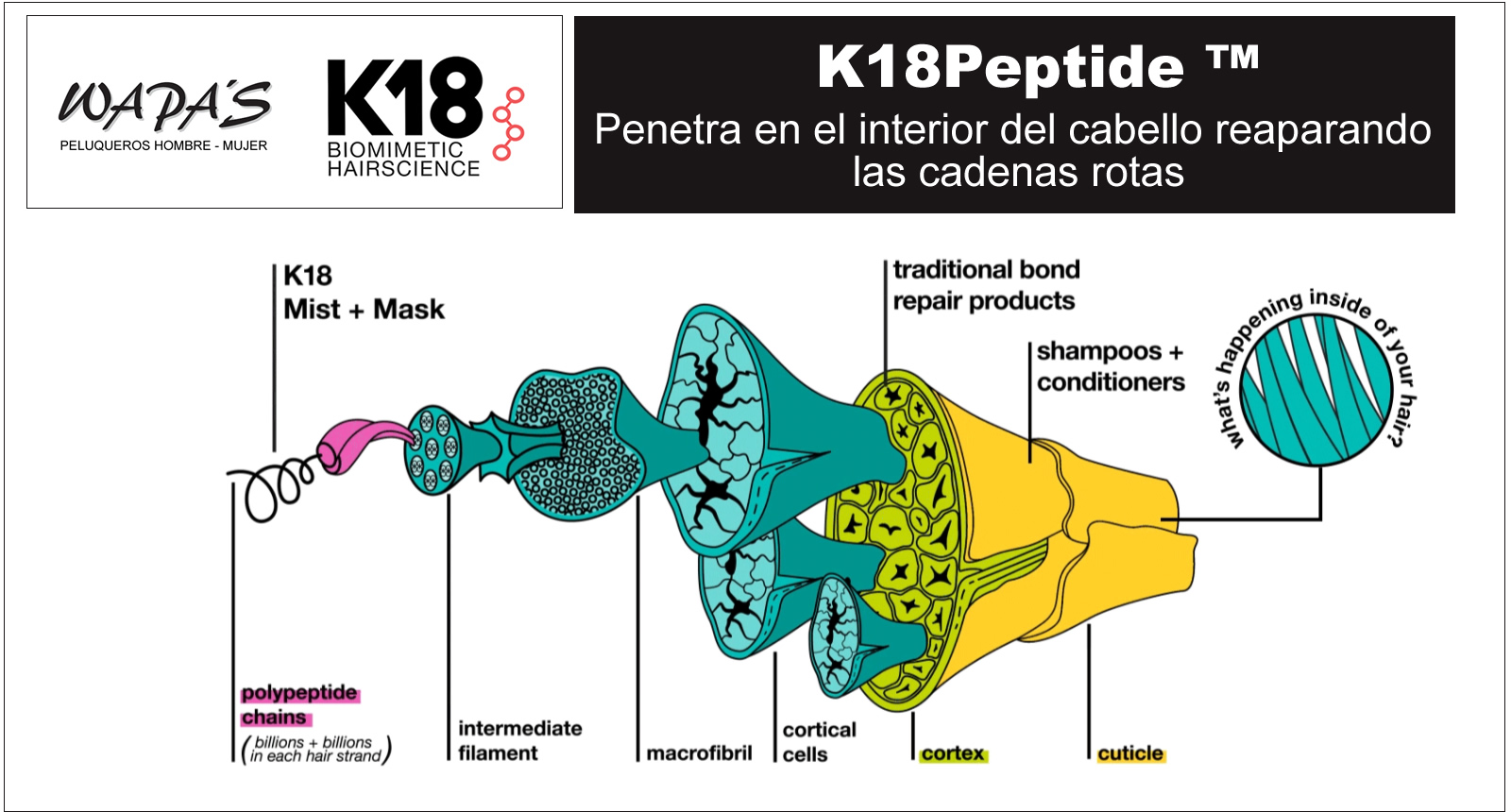 k18 hair penetra en el interior del cabello