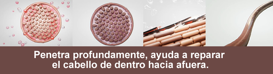 cabello reparado serum sebastian hyaluronic cabello reparado serum sebastian hyaluronic