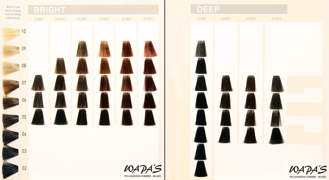 Carta de colores Elumen Bright y Light