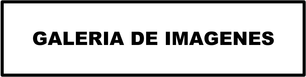 Fotos trabajos de peluquería y belleza
