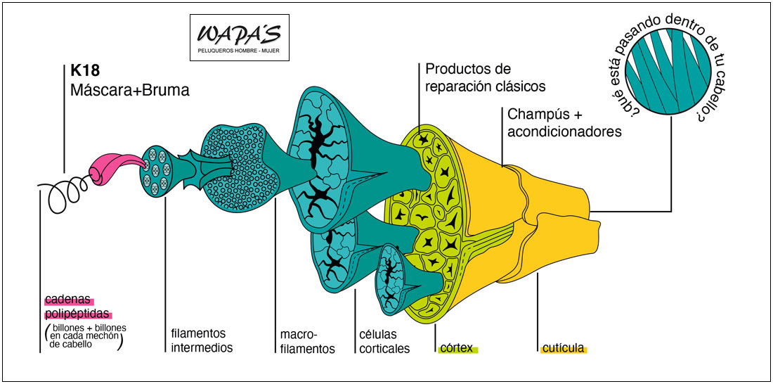 Como actúa el producto k18 en el cabello como actúa k18 en el cabello