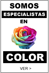 especialistas tintes de color peluqueria